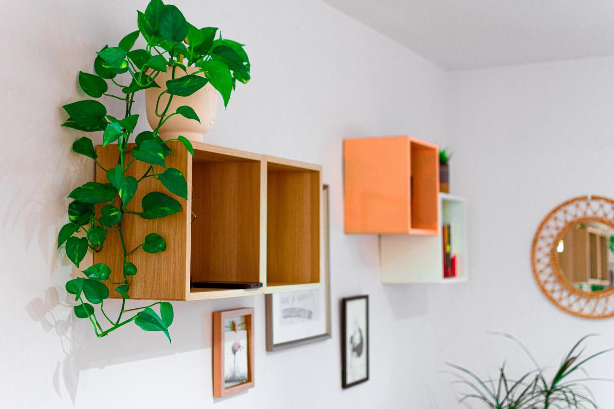 Edomus Feria Y Flamenco Apartment Севиля Екстериор снимка